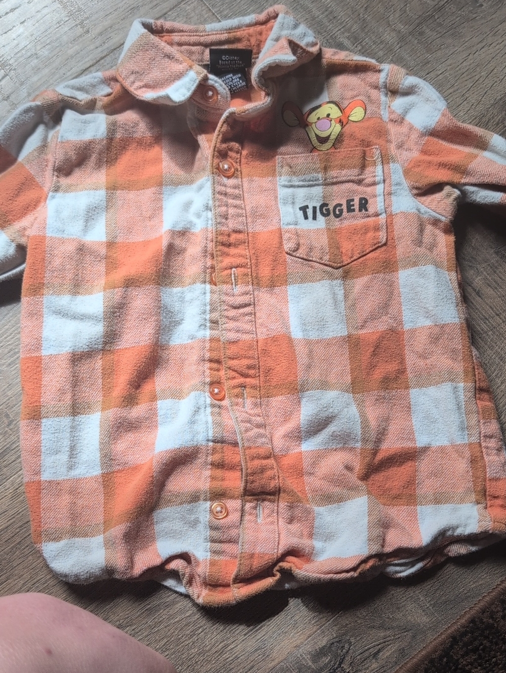 Disney Orange & White Tigger Plaid Button-Down Shirt